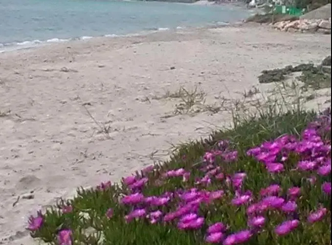 Apartamento Blue Lagoon *